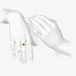 22k & garnet capsa ring