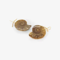 18k & pale ammonite earrings