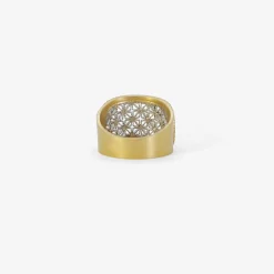 18k & platinum ellipse ring with champagne micro pavé diamonds