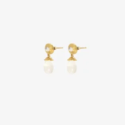 22k & rainbow moonstone alabastra dangle earrings