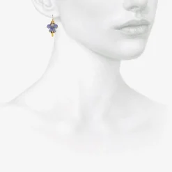 22k & tanzanite bug clusters