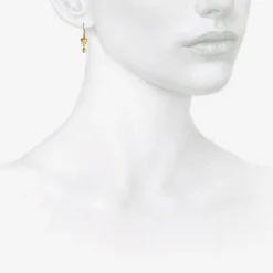 18k buckwheat with seed earrings