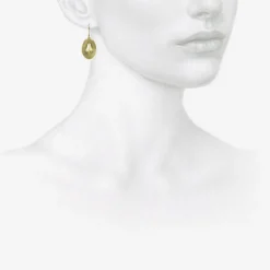 10k ear & nose earrings