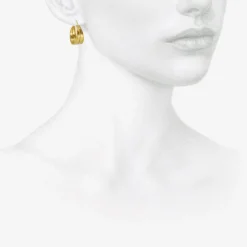 22k hinged laurel hoop earrings