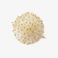 14k large queen anne's lace pin with pearl & labradorite