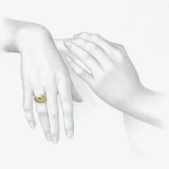 18k love token ring – “sapientiae” – wisdom