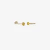 22k rosette studs