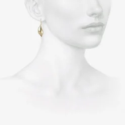 14k white gold new shells