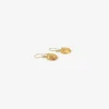 18k yellow gold stink bug earrings